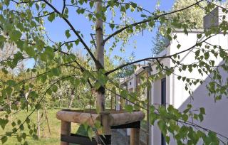Ferienwohnung Mirow - Mirow - 4
