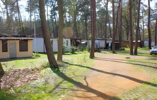 Ferienhaus Ueckermünde Bellin - Bellin - 7