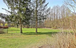 Fh Maisgelb - Warenthin - 9