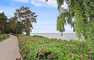 Ferienhaus Lubmin Seebad - 6