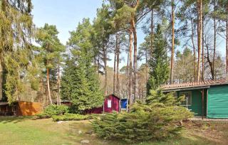 Fh Brombeere - Warenthin - 2
