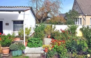 Ferienhaus Waren Müritz - Waren - 9