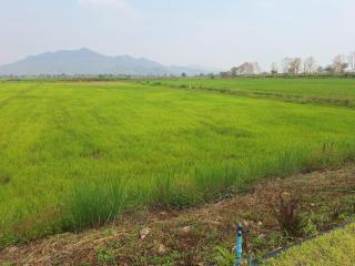 ไร่รื่นรมย์ Rai Ruen Rom Organic and Farmstay - Ban Sawan - 5