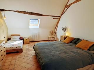Gîte de charme à la ferme avec jardin clos et activités familiales - FR-1-591-582 - Thenay - 4