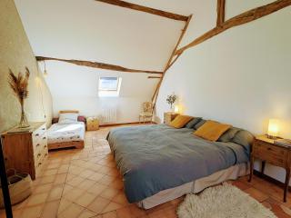 Gîte de charme à la ferme avec jardin clos et activités familiales - FR-1-591-582 - Thenay - 3