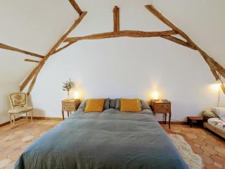 Gîte de charme à la ferme avec jardin clos et activités familiales - FR-1-591-582 - Thenay - 2