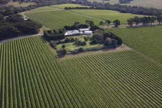 Vineyard Lane - Winery Escape - Balcombe - 0