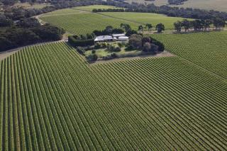 Vineyard Lane - Winery Escape - Balcombe - 2