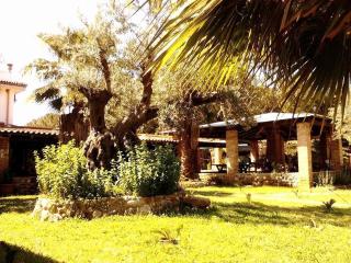 Affittacamere Villa Brazzano - Scalea - 5