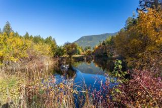 Glacier Retreat on 4 Acres with Sauna & Fire Pit - Columbia Falls - 6