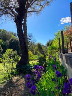 Villa Romarin - Mougins - 6