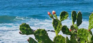 Benka Beach, Sheffield, KwaZulu Natal - 8