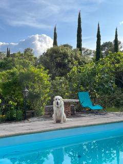 La villa tranquille - Roquebrune-sur Argens - 4