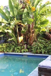 CC's @ Byron Self Contained Studio - 6