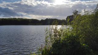 Kölp - Block`s Ferienhäuschen - Kolpinsee - 7