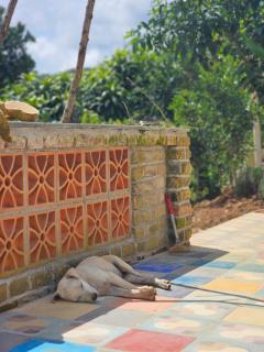 Nhà Gạch cổ - Antique Brick House - Bảo Lâm - 6