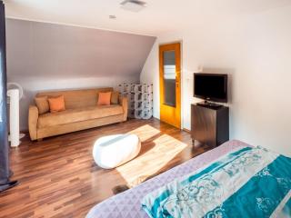 Holiday home in Mahlberg in the Ortenau district - Mahlberg - 1