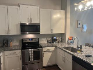 The luxurious buckhead stay - Atlanta - 0