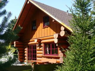 Cozy wooden house in Waltershausen near the forest - Emsetal - 9