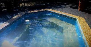 Inyathi Inn - Marloth Park - 1
