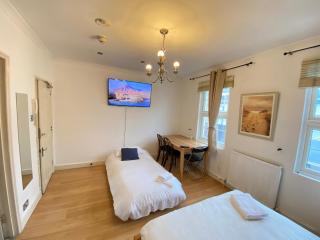 Amazing studio Central London - Londra - 5