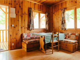 Rustic Mountain Retreat - 9