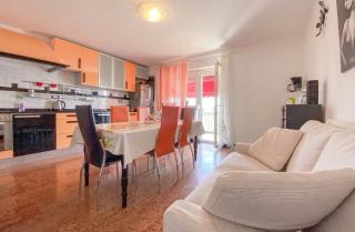 Amelie - Novigrad - 2