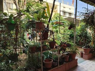 Homestay Urmil Basant - Jaipur - 2