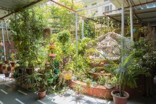 Homestay Urmil Basant - Jaipur - 7