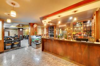 Vista Suites, Bangalore - Bangalore - 4