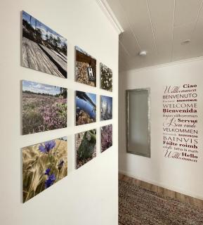 snevernheimat, Ferienwohnung - 5