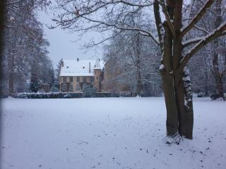 "Envol des cigognes" centre Alsace proche EuropaPark Rulantica et Marchés de Noel - 0