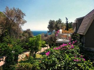 Loryma Resort Hotel - Turunç - 1