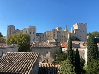 Avignon Intra-muros, vue Palais des Papes - Avignone - 9