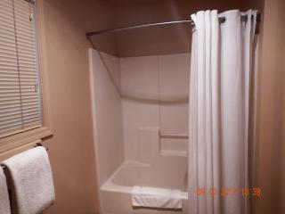 Mount Shasta Resort - 7
