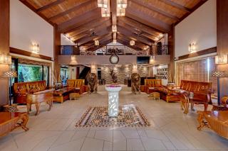 The Fern Gir Forest Resort, Sasan Gir - A Fern Crown Collection Resort - Sasan Gir - 5