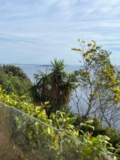 La pastorale de Théoule sur mer - Théoule-sur-Mer - 2