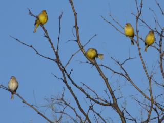 Complejo Pasos Malos - 1