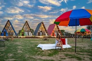 Sunflower Saga - Jaipur - 0