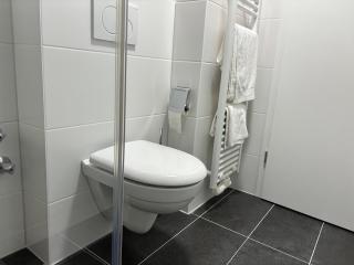 Wick Home Apartment 1 Lahr-Burgheim - Burgheim - 8