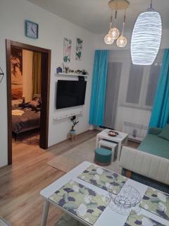 Apartment Tropical - Aqua Park Jagodina - 1