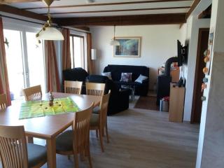 Ferienhaus in Feriendorf Silbersee - Frielendorf - 4
