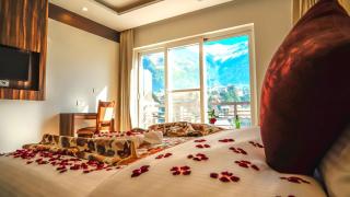 Simsa Heights Manali - 8
