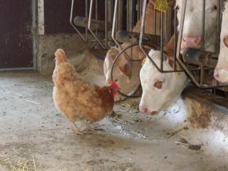 Granerhof Ferien - 1