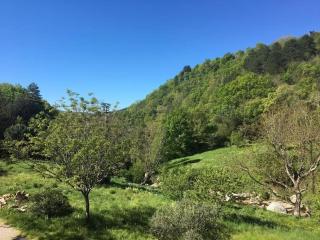 LE JARDIN DEL SUD - Saint-Vincent - 7