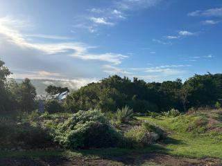 The Good Earth Farm - The Crags - 2