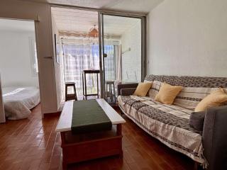 Studio cabine climatisé, accès plage à 400m, parking privé, animaux acceptés - FR-1-225-808 - Argelès-sur-Mer - 8