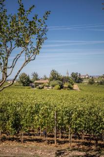 Les Clefs de Troplong Mondot - Saint-Émilion - 7