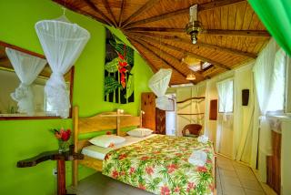Hibiscus Valley Inn - Marigot - 2