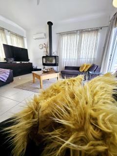 Villa Olivia - Paphos - 5